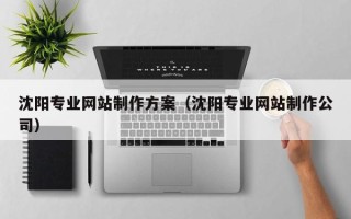 辽源沈阳专业网站制作方案（沈阳专业网站制作公司）